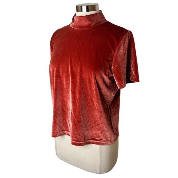 Madewell Velvet Mockneck Tee in Burnished Rust Women’s Size‎ Large - Picture 5 of 10